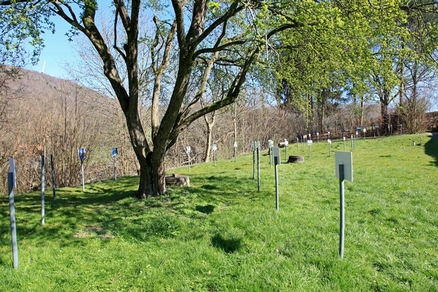 Neue Fotoausstellung von Uli Auffermann