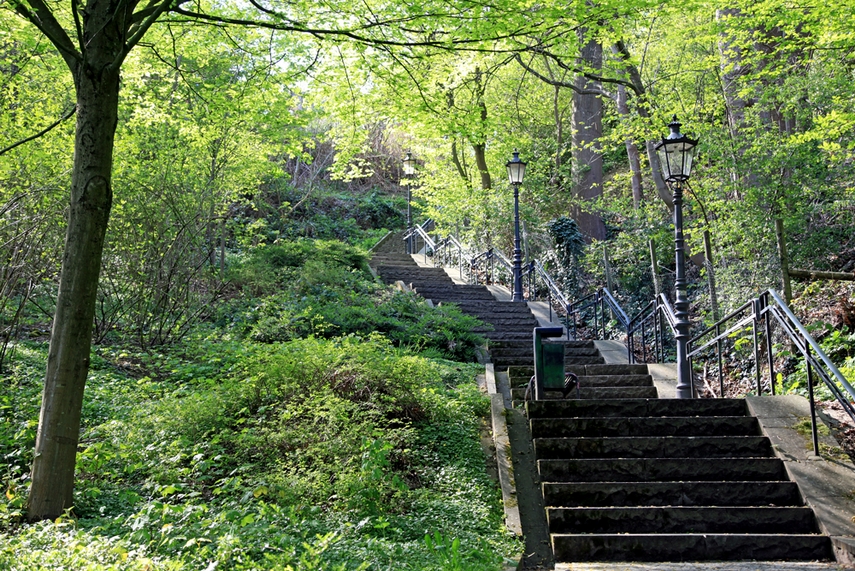 Treppenwanderung in Langenberg