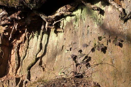 Eindrücke am Wegesrand