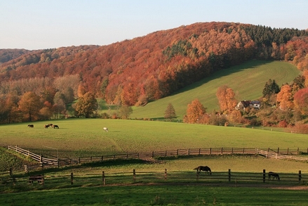 Herbst auf dem Anderl-Heckmair-Weg