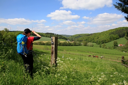 Frühling auf dem Anderl-Heckmair-Weg Frühling auf dem Anderl-Heckmair-Weg