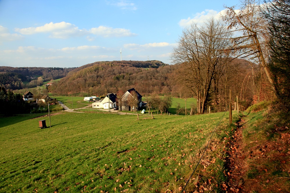 Auf dem Gennebrecker Rundweg Auf dem Gennebrecker Rundweg