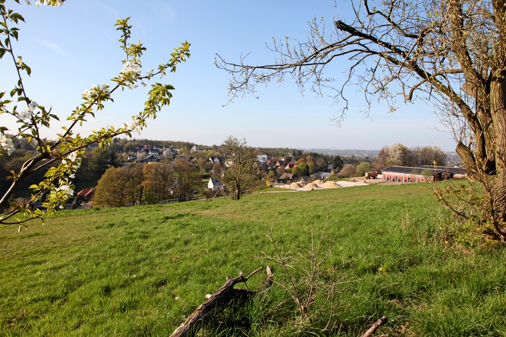Weitblick am Kressenberg in Niederbonsfeld Weitblick am Kressenberg in Niederbonsfeld