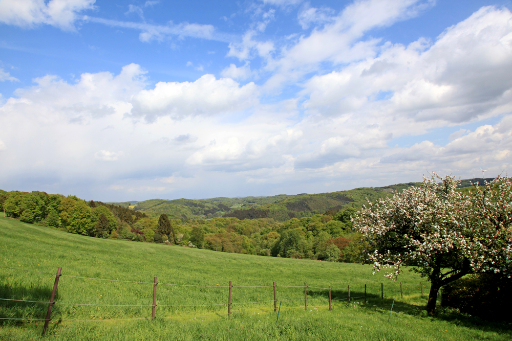 Auf dem Höhenweg Auf dem Höhenweg