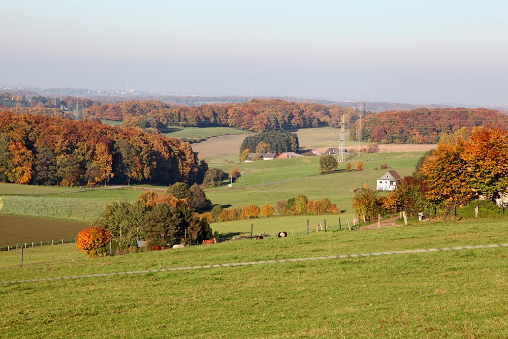 Auf dem Berger Weg in Oberstüter