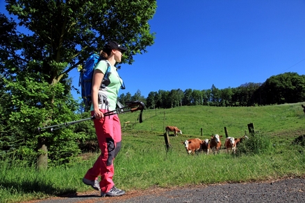 Frühlingszeit ist Wanderzeit! Frühlingszeit ist Wanderzeit!