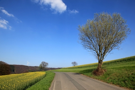 Frühling in der Elfringhauser Schweiz