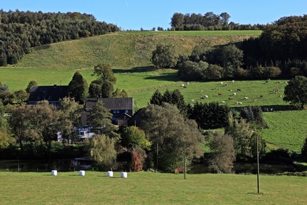 Ländliche Idylle bei Mellbeck