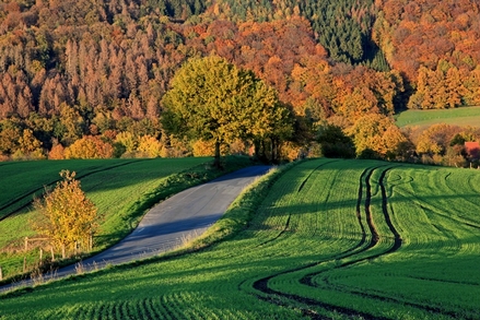 Am Schanzerweg Am Schanzerweg