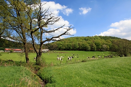 Am Fuße des Winterbergs