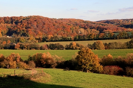 Blick ins Deilbachtal Blick ins Deilbachtal