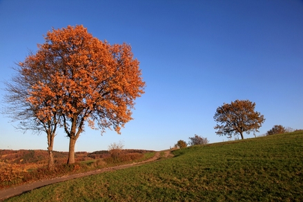 Zur Herbstzeit in Oberelfringhausen