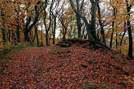 Auf dem Kamm des Isenberg