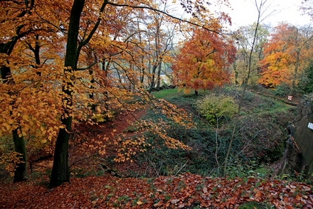 Im Klettergarten Isenberg