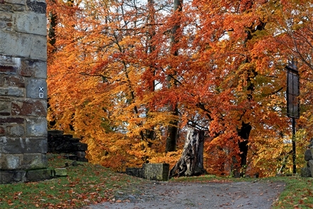 Herbstimpression Burgruine Isenberg