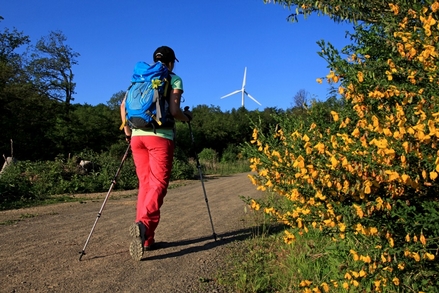 Wanderparadies Elfringhauser Schweiz