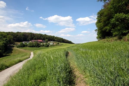 Wandertipp: Von Nierenhof durch das Felderbachtal