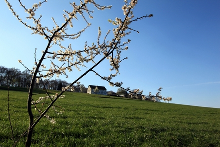 Zwischen Nordrather- und Deilbachstraße