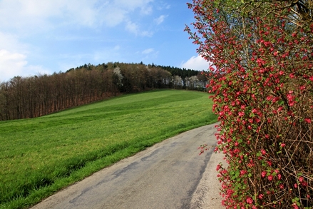 Auf dem Sträßchen Raffenberg