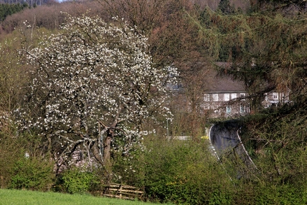 Der denkmalgeschützte Auerhof an der Felderbachstraße