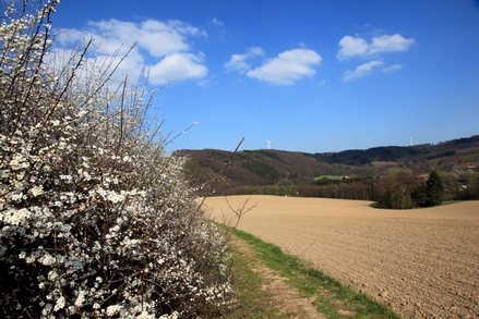 Aussicht oberhalb von Niederlaak