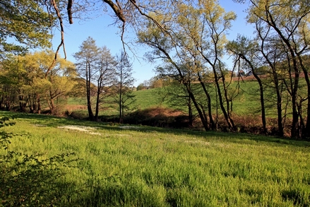 Auf dem Gennebrecker Rundwanderweg