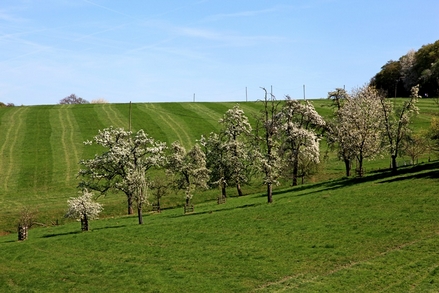 Frühling in Oberelfringhausen