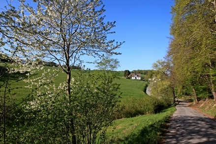 Auf dem Deilbachweg Richtung Dunk