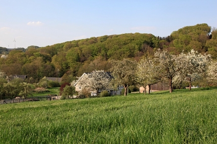 Oberhalb von Am Schmalen