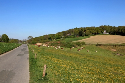 Auf dem Dunkerweg in Oberelfringhausen