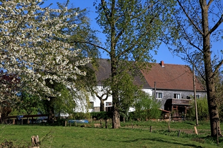 Frühling im oberen Felderbachtal