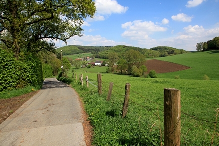 Auf dem Sträßchen Zur Fahrentrappe Richtung Felderbachtal