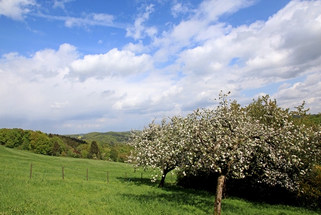 Am Höhenweg