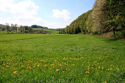 Oberes Felderbachtal