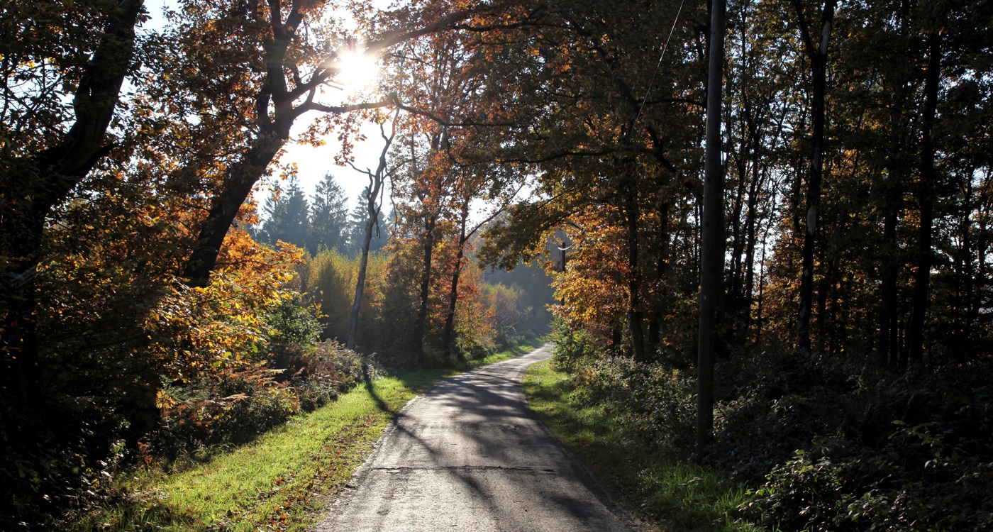 Rund um den Sprockhöveler Winterberg