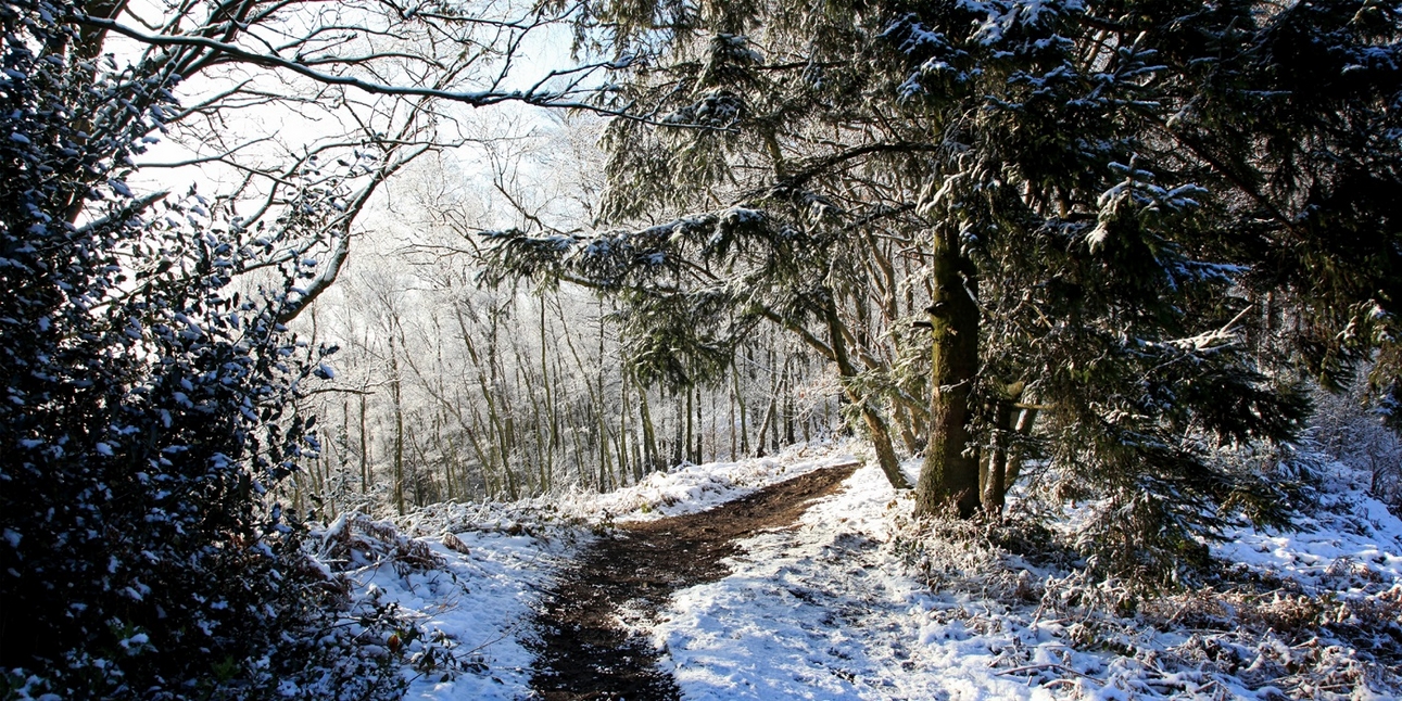 Winter in der Elfringhauser Schweiz