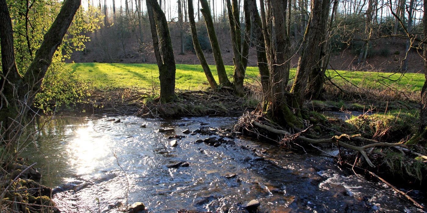 „Heimatliebe Deilbachtal" von Uli Auffermann