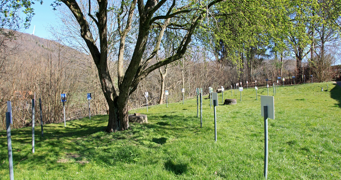 Neue Fotoausstellung in der Elfringhauser Schweiz