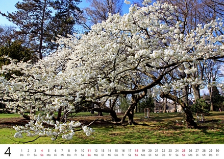Kalender 2027 „Bochum beeindruckt!"