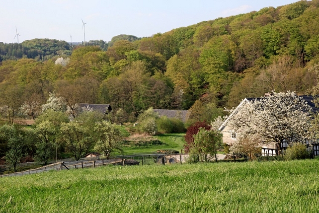 Im Deilbachtal Im Deilbachtal