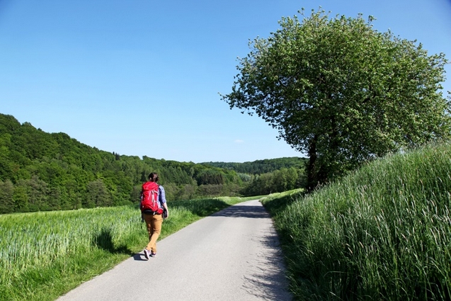 Auf dem Neanderlandsteig Auf dem Neanderlandsteig