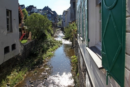 Der Hardenberger Bach Der Hardenberger Bach