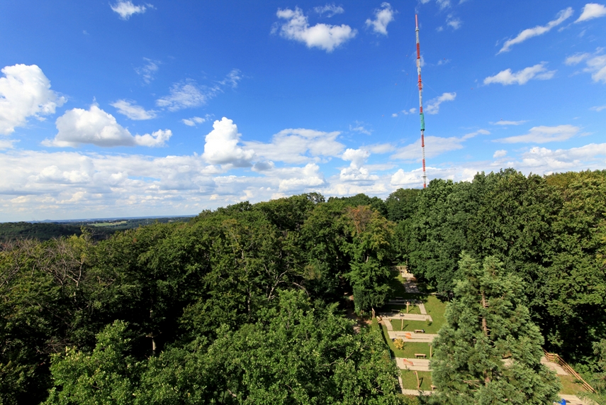 Auf dem Hordtberg
