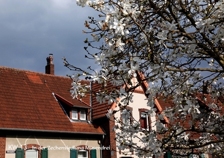 „Heimatliebe Hattingen" von Uli Auffermann