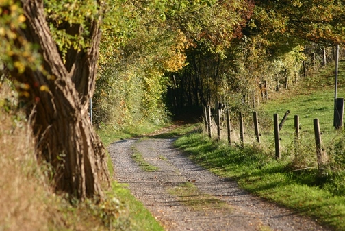 Auf lauschigen Wegen durch das Hügelland