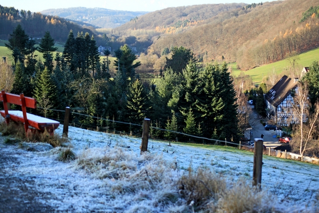 Weihnachtsbaumverkauf rund ums Hügelland