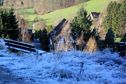 Ausblick am Rande der Schonung